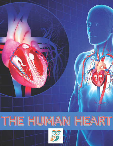 Human Heart Lesson Pack