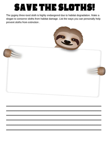 Sloths Mini Lesson and Activity Pack