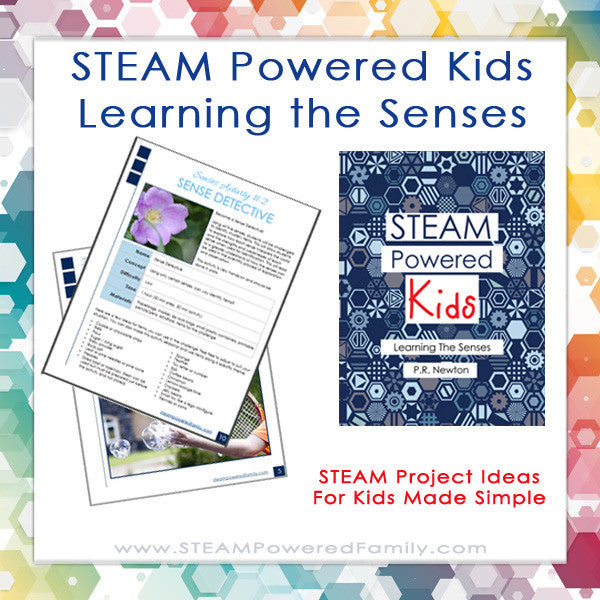 STEAM Powered Kids - Learning The Senses