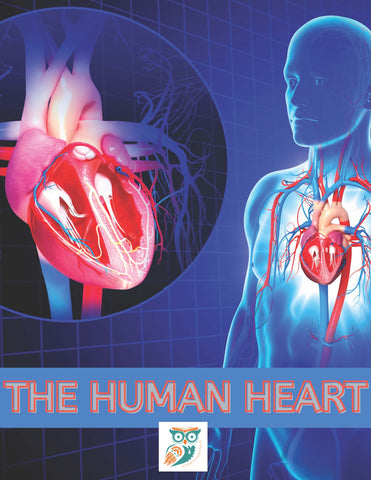 Human Heart Lesson Pack