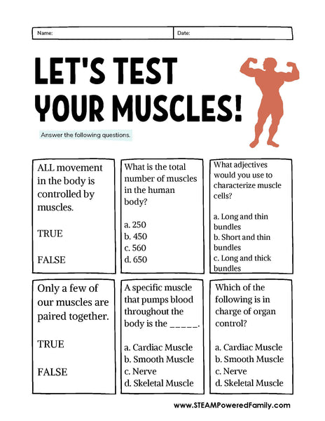 Muscular System Lesson Pack