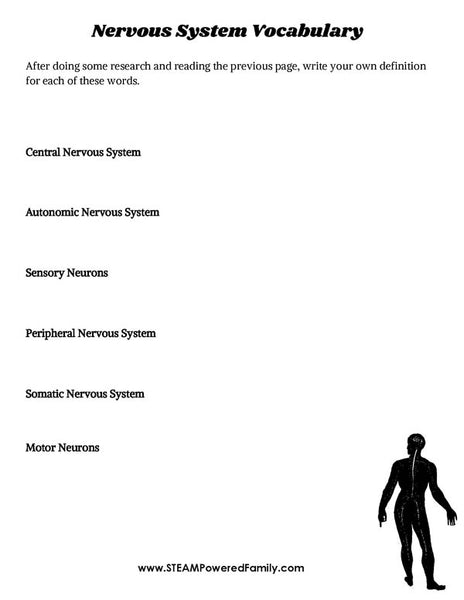Nervous System Lesson Pack