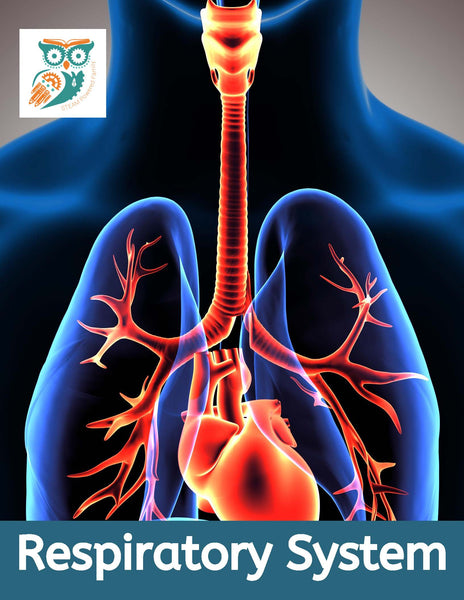 Respiratory System Lesson Pack
