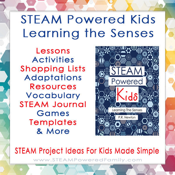 STEAM Powered Kids - Learning The Senses