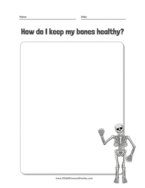 Skeletal System Lesson Pack