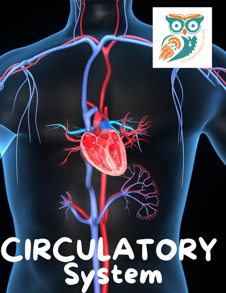 Circulatory System Lesson Pack