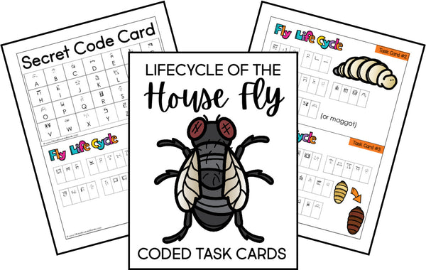 Code Breakers Life Cycle Bundle - 12 Different Plants, Animals and Insects