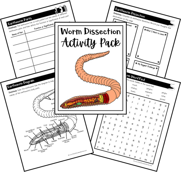 Virtual Dissections - Frog, Pig, Earth Worm and Crayfish Printable Activities