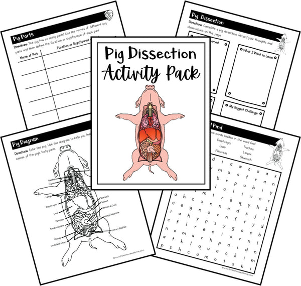 Virtual Dissections - Frog, Pig, Earth Worm and Crayfish Printable Activities